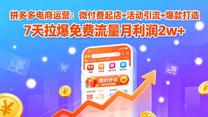拼多多电商运营:微付费起店+活动引流+爆款打造 7天拉爆免费流量月利润2w+-云网创
