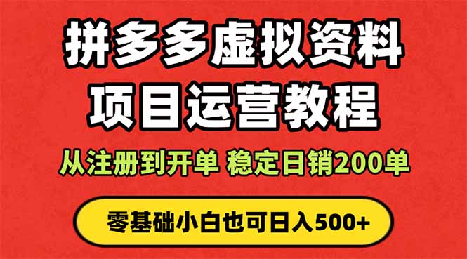 拼多多开店运营课程: 蓝海变现玩法,轻松实现睡后收入 零基础小白也可…-云网创