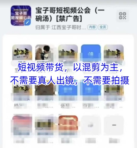 宝子哥头部团队短视频带货，以混剪为主，不需要真人出镜，不需要拍摄【更新11月】-云网创