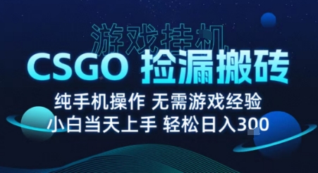 8月最新游戏搬砖,CSGO纯挂G,不需要玩游戏,实现真挂G,月入1W+【揭秘】-云网创