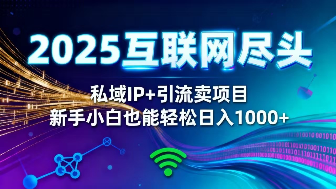 2025网创尽头王炸项目！私域 IP + 精准引流，新手小白在家躺赚日入 1000+-云网创
