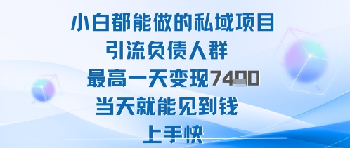 2025年小白都能做的私域项目引流负债人群最高一天变现1k+高变现难度低当天就能见到钱上手快-云网创