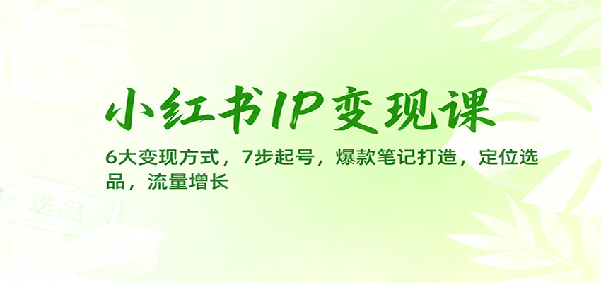 小红书IP变现课：6大变现方式，7步起号，爆款笔记打造，定位选品，流量增长-云网创