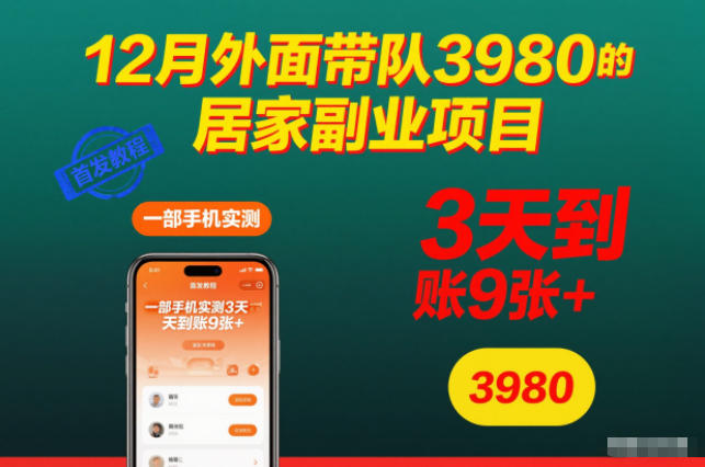 12月外面带队3980的居家副业项目，一部手机实测3天到账9张+，首发教程【揭秘】-云网创