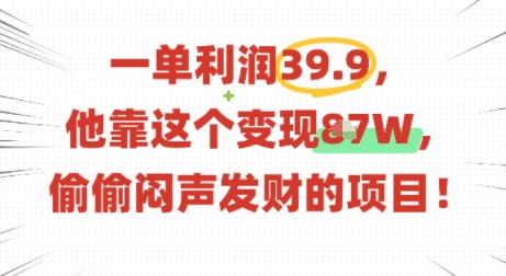 一单利润39.9,有人靠这个变现几十个,偷偷闷声发财的项目-云网创