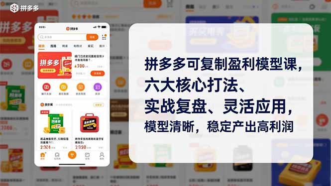 拼多多可复制盈利模型课，六大核心打法、实战复盘、灵活应用，模型清晰，稳定产出高利润-云网创
