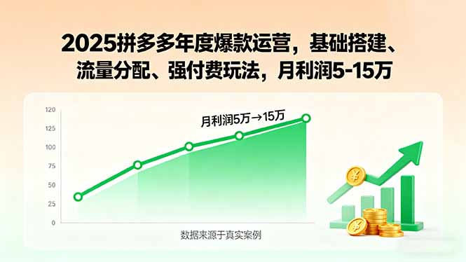2025拼多多年度爆款运营,基础搭建、流量分配、强付费玩法,月利润5-15万-云网创