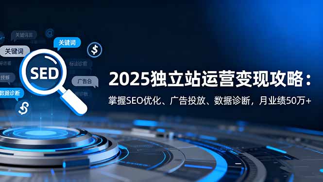 2025独立站运营变现攻略:掌握SEO优化、广告投放、数据诊断,月业绩50万+-云网创
