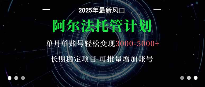阿尔法托管计划 单账号月入3000-5000,长期稳定项目,新手小白轻松上手。-云网创