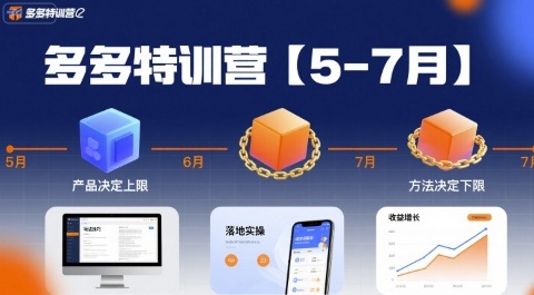 多多特训营,产品决定上限,方法决定下限,各种玩法技巧落地实操(更新)-云网创