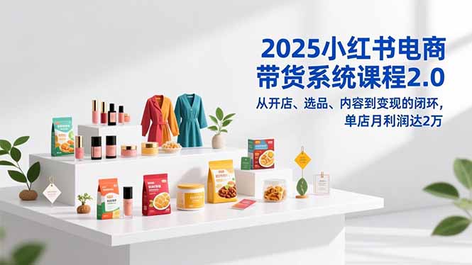 2025小红书电商带货系统课程2.0，从开店、选品、内容到变现的闭环，单店月利润达2万-云网创