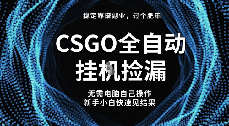 【稳定副业】全球最热门游戏CSGO全自动捡漏，最新玩法，新手小白日入5张+【揭秘】-云网创