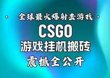【年底大揭秘】基于全球最火爆的射击CSGO游戏挂G搬砖，日入5张+，震撼公开-云网创