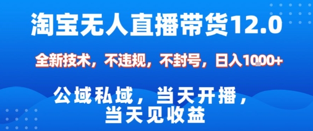 淘宝无人直播12.0，公域私域技术，不封号，不违规布局双十一流量风口，日入1k(独家技术)【揭秘】-云网创
